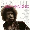 Stone Free: A Tribute to Jimi Hendrix - Various Artists (Vinyl) 2LP