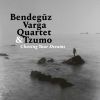 Bendegúz Varga Quartet & Tzumo - Chasing Your Dreams CD
