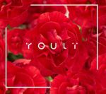 Youli (Horányi Juli) - Youli CD