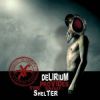 A Losing Season - Delirium Provides The Safest Shelter CD