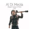 Al Di Meola - Elegant Gypsy & More Live CD