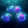 At Night I Fly - Collision / Fusion / Division (CD)