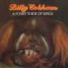 Billy Cobham - A Funky Thide of Sings CD