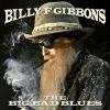 Billy Gibbons (ZZ Top) - The Big Bad Blues CD
