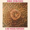 King Crimson - Cat Food / Groon (Vinyl) 10