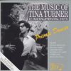 The Music Of Tina Turner - Private Dancer: 17 Instrumental Hits CD