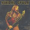 Vikidál Gyula - Maradsz aki voltál (Vinyl) LP